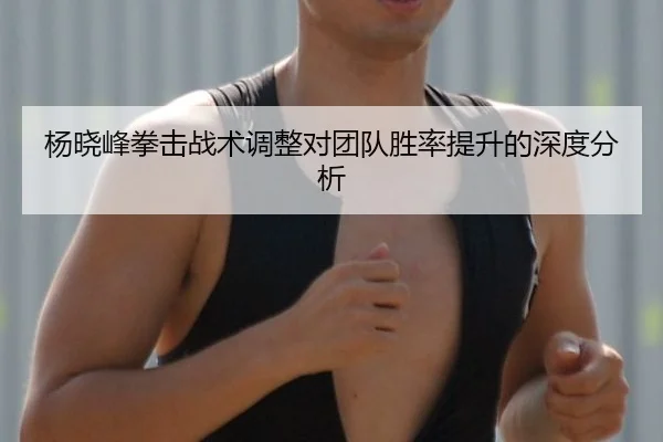 杨晓峰拳击战术调整对团队胜率提升的深度分析